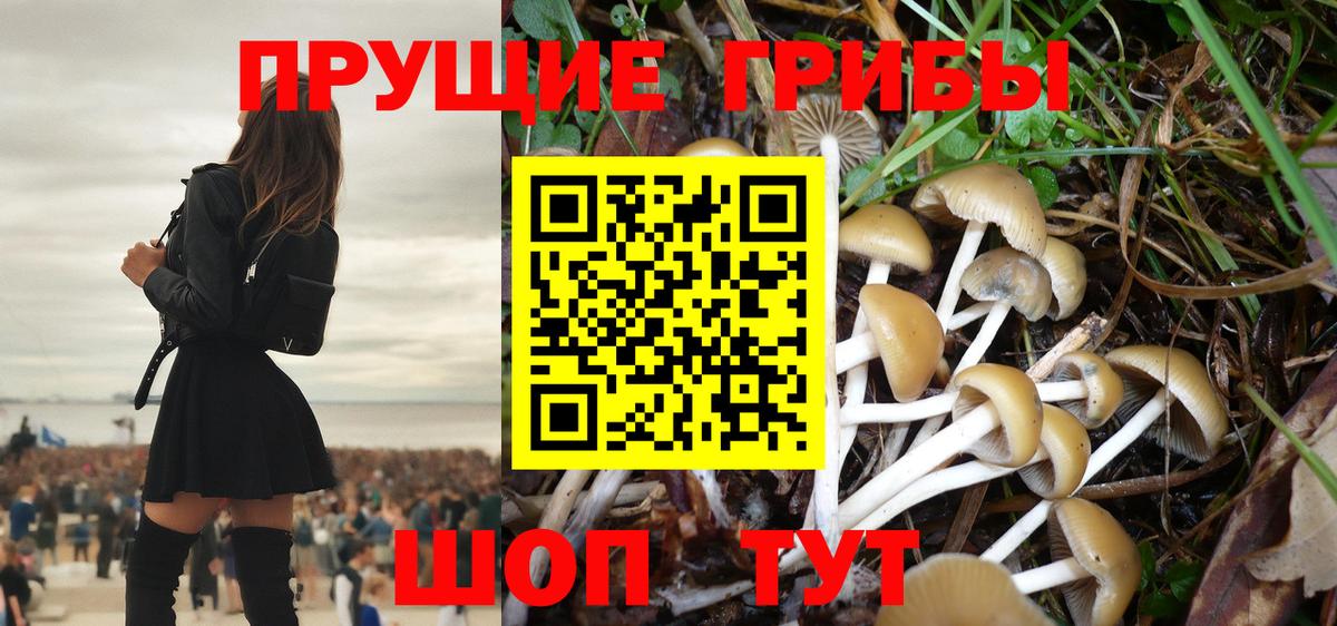 купить  сайты  Вход с VPN  Сердобск  Галлюциногенные грибы Psilocybine cubensis 
